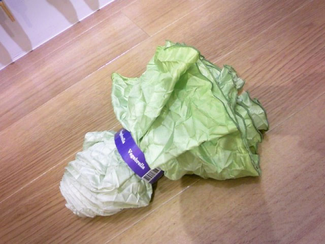 Vegetabrella - Lettuce Umbrella