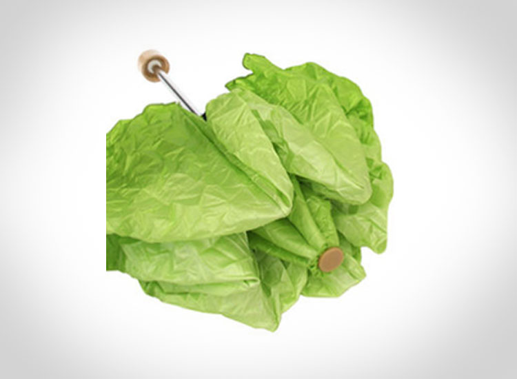 Vegetabrella - Lettuce Umbrella