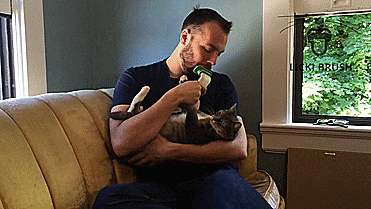 LICKI Brush - Giant Tongue Shape Brush Lets You Lick Your Cat