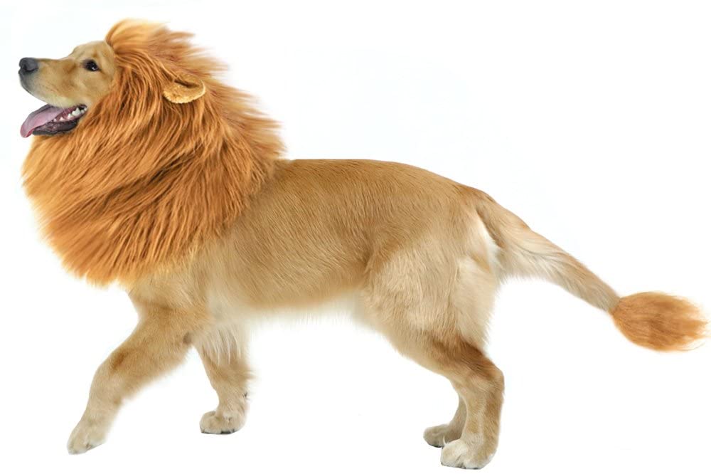 Dog Lion Mane Costume - Dog lion wig