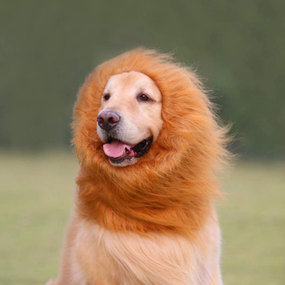 Dog Lion Mane Costume - Dog lion wig