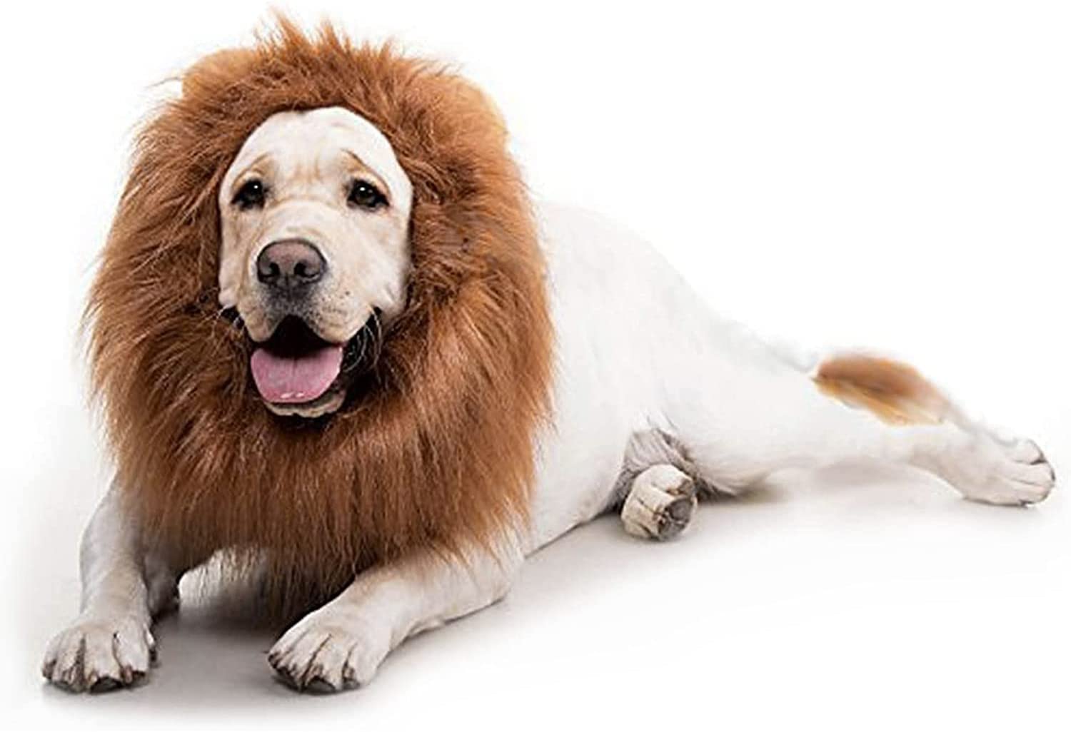 Dog Lion Mane Costume - Dog lion wig