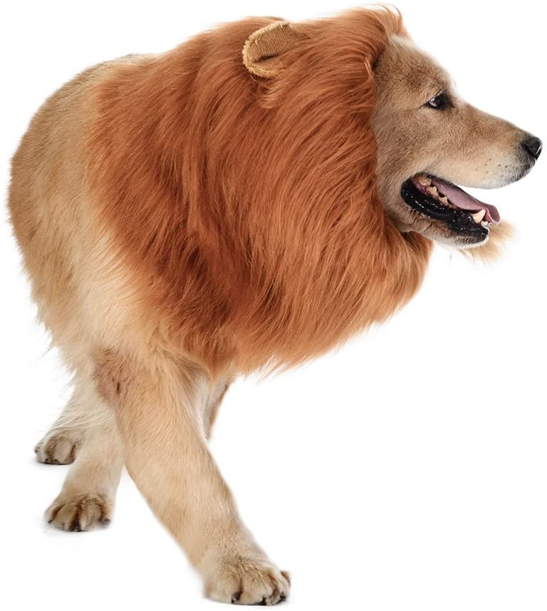 Dog Lion Mane Costume - Dog lion wig