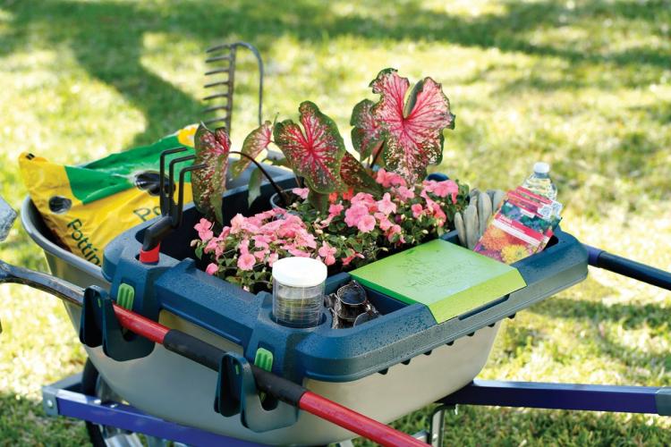 Little Burro Wheelbarrow Organizer