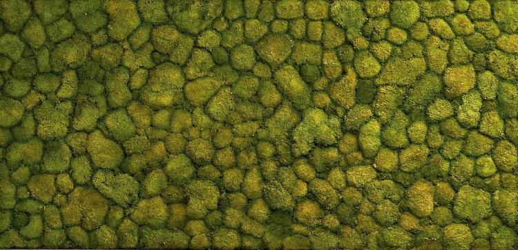 Living Moss Wall Art