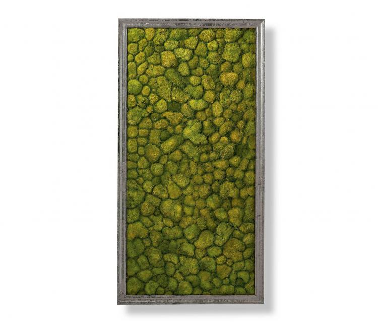 Living Moss Wall Art