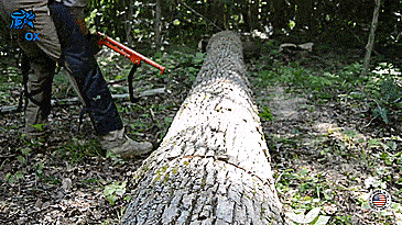 LogOX 3-in-1 Back-Saving Forestry Multi-tool - Incredible chainsaw lumber multi-tool