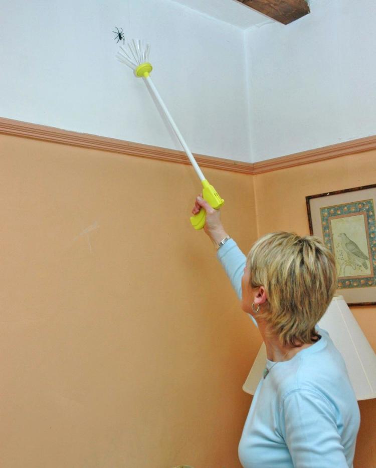 Harm Free Long Range Spider Catcher