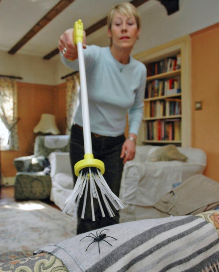 Harm Free Long Range Spider Catcher