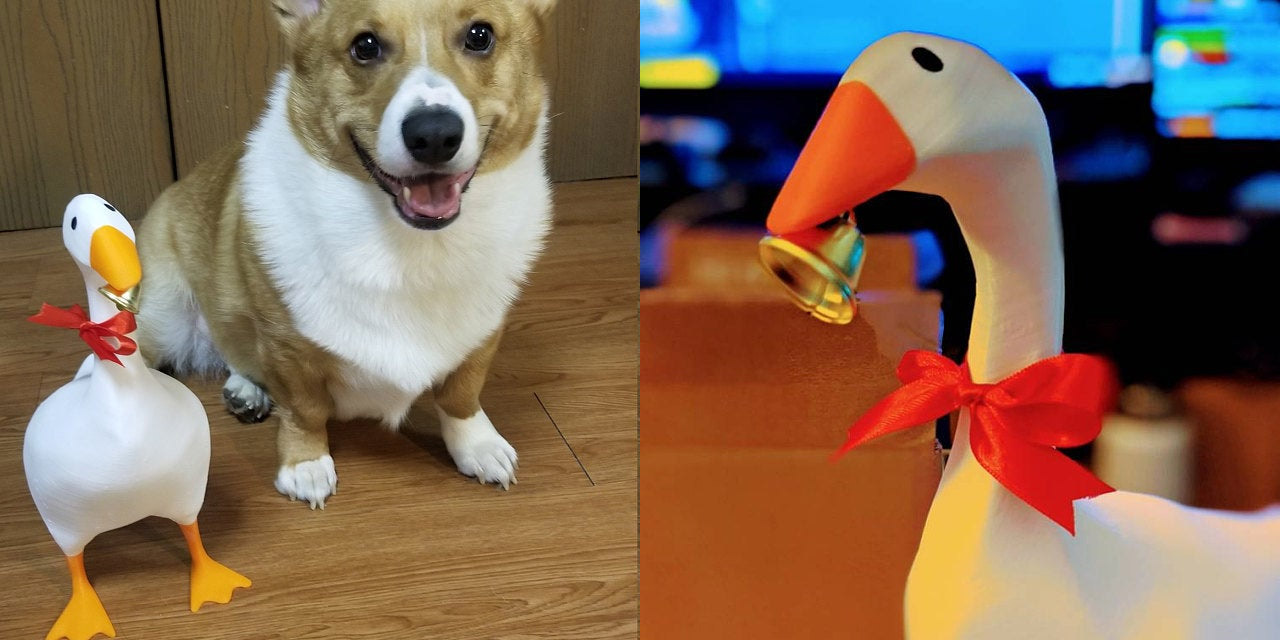 Magnetic Goose