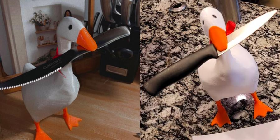 Magnetic Goose