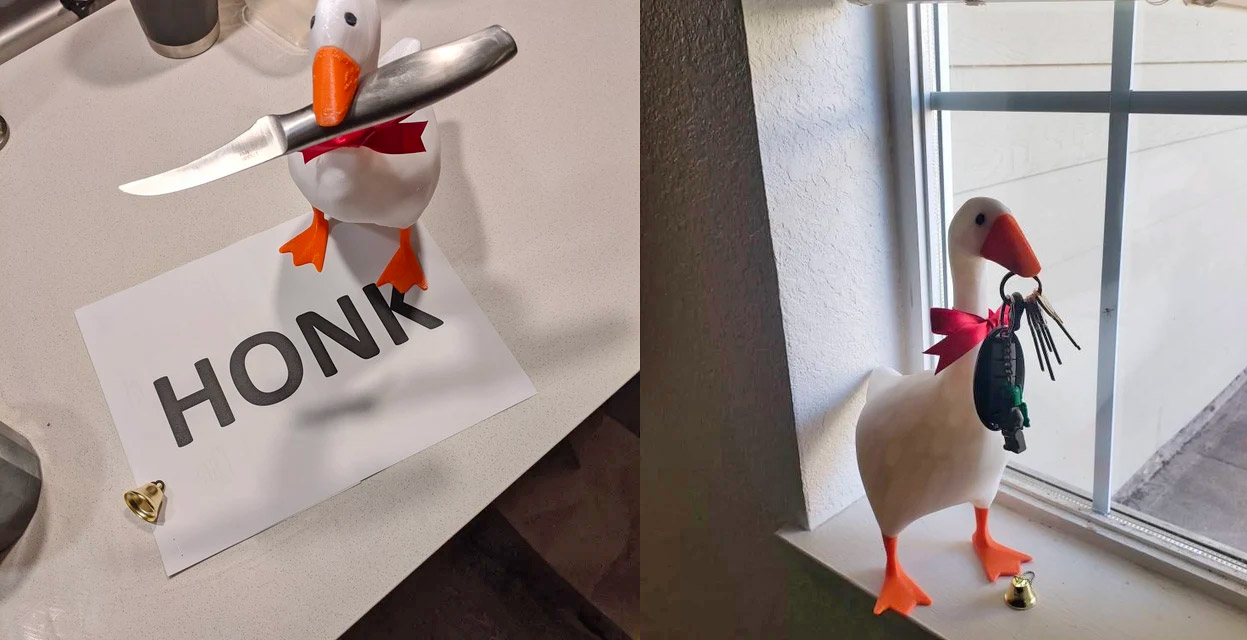 Magnetic Goose