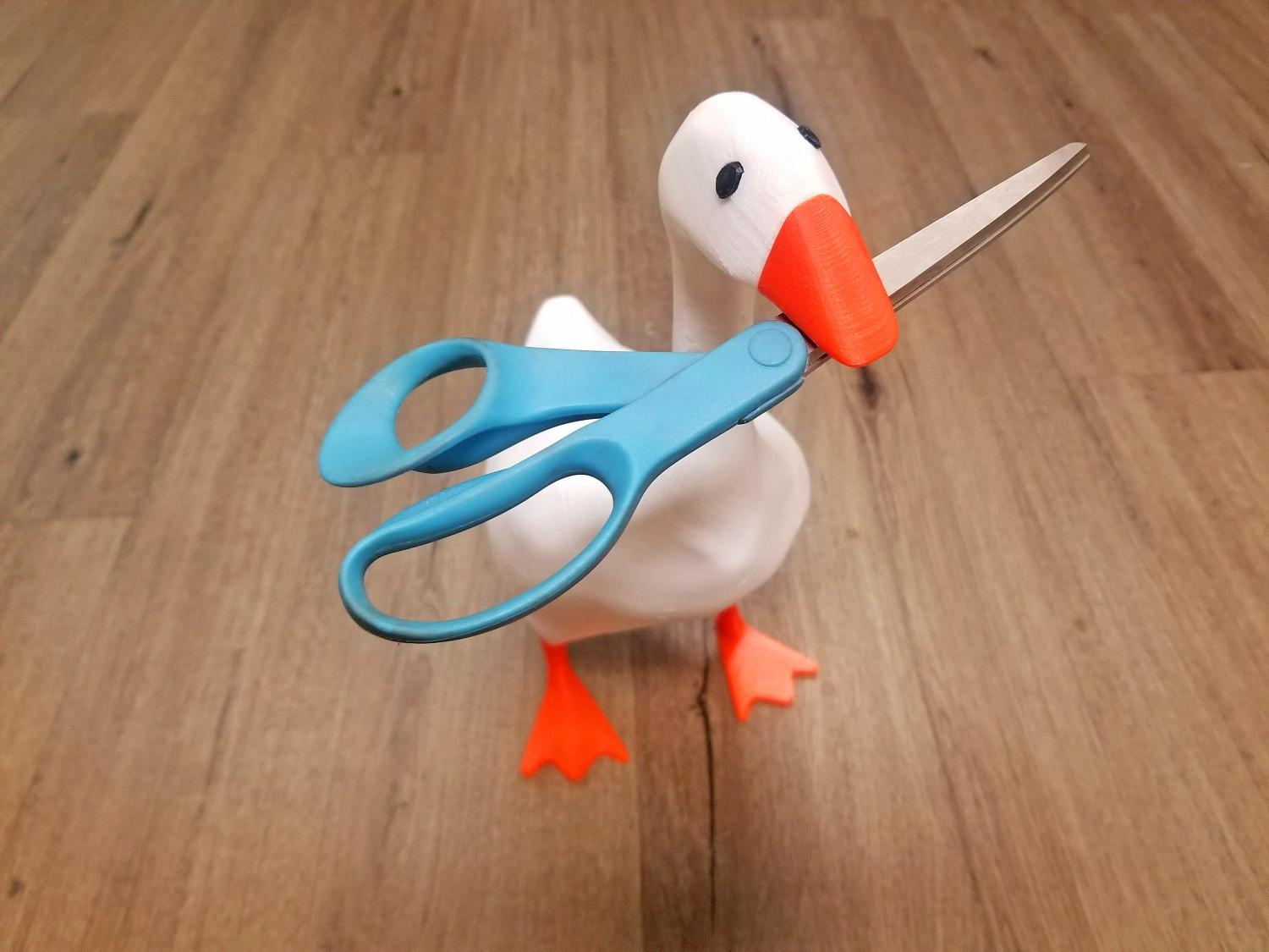 Magnetic Goose