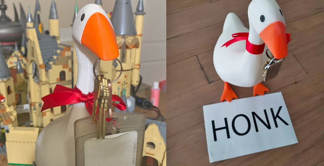 Magnetic Goose