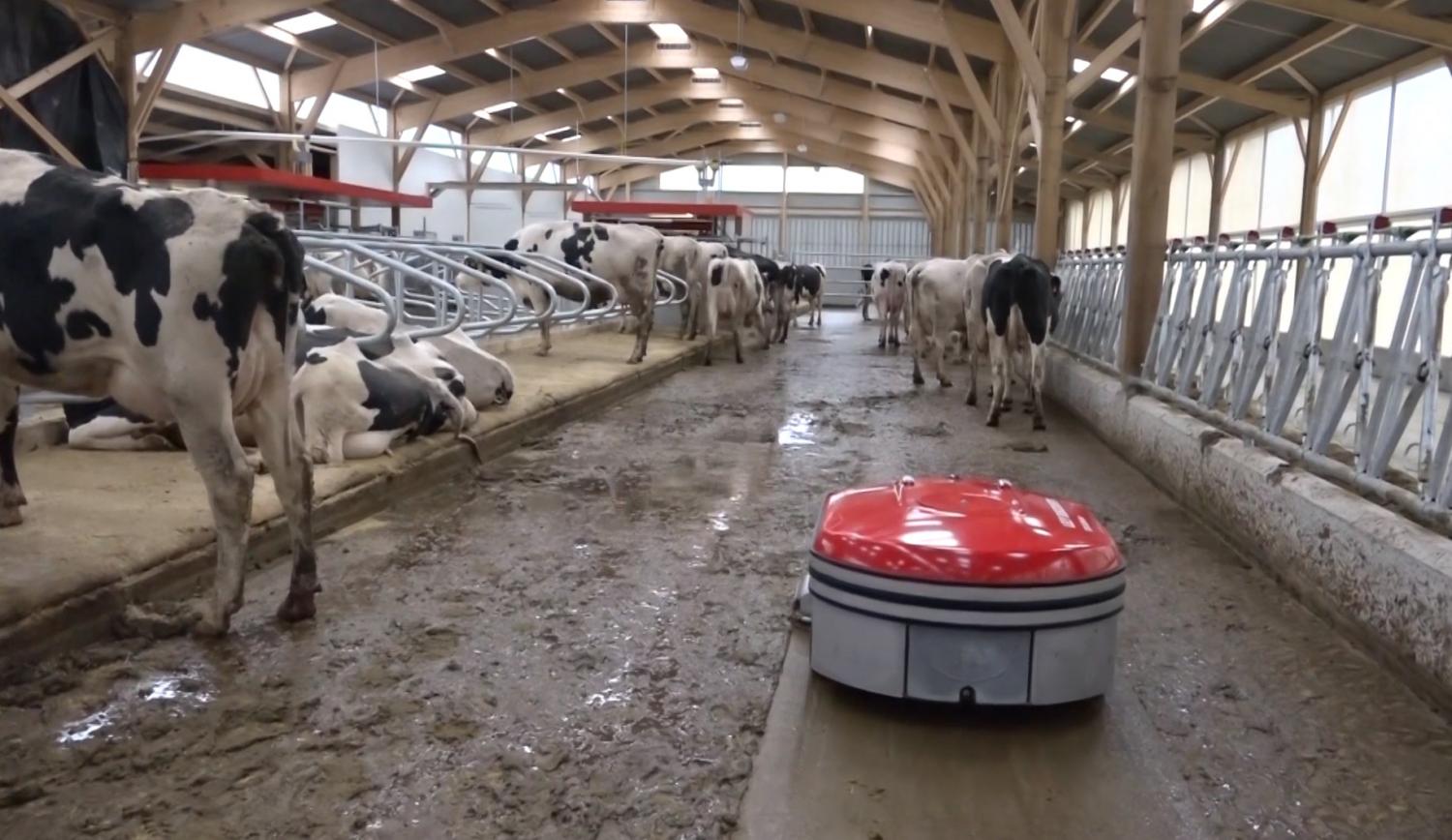 Lely Discovery Manure Cleaning Robot Vacuum Barn Floor Roomba