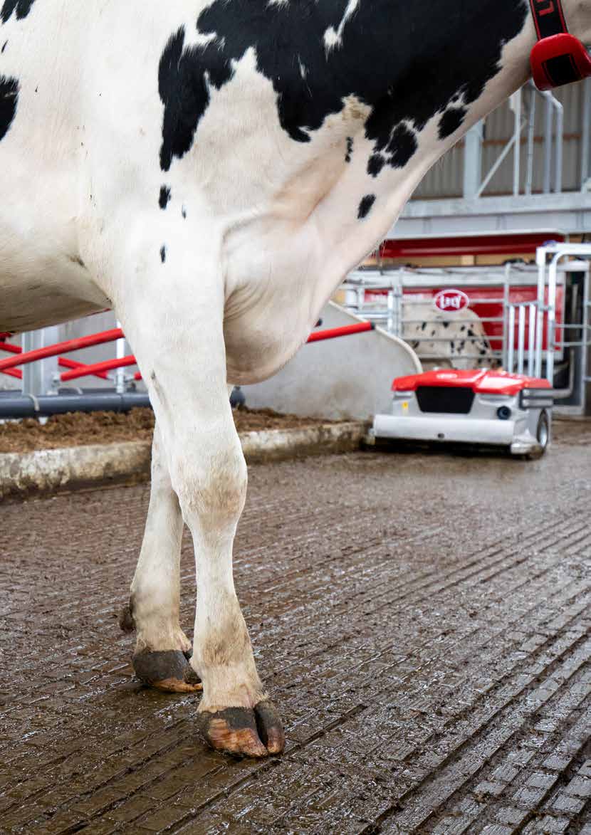 Lely Discovery Manure Cleaning Robot Vacuum Barn Floor Roomba