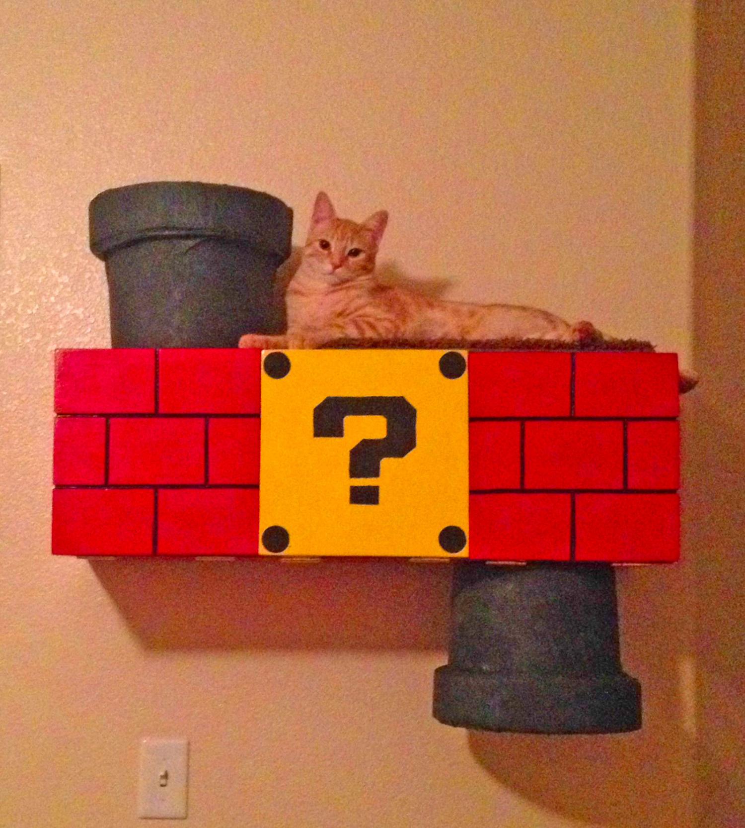 Mario Cat Playground