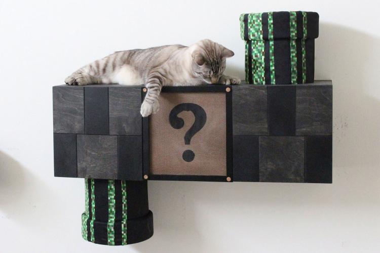 Mario Cat Playground