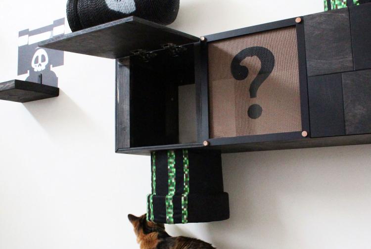 Mario Cat Playground