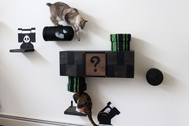 Mario Cat Playground