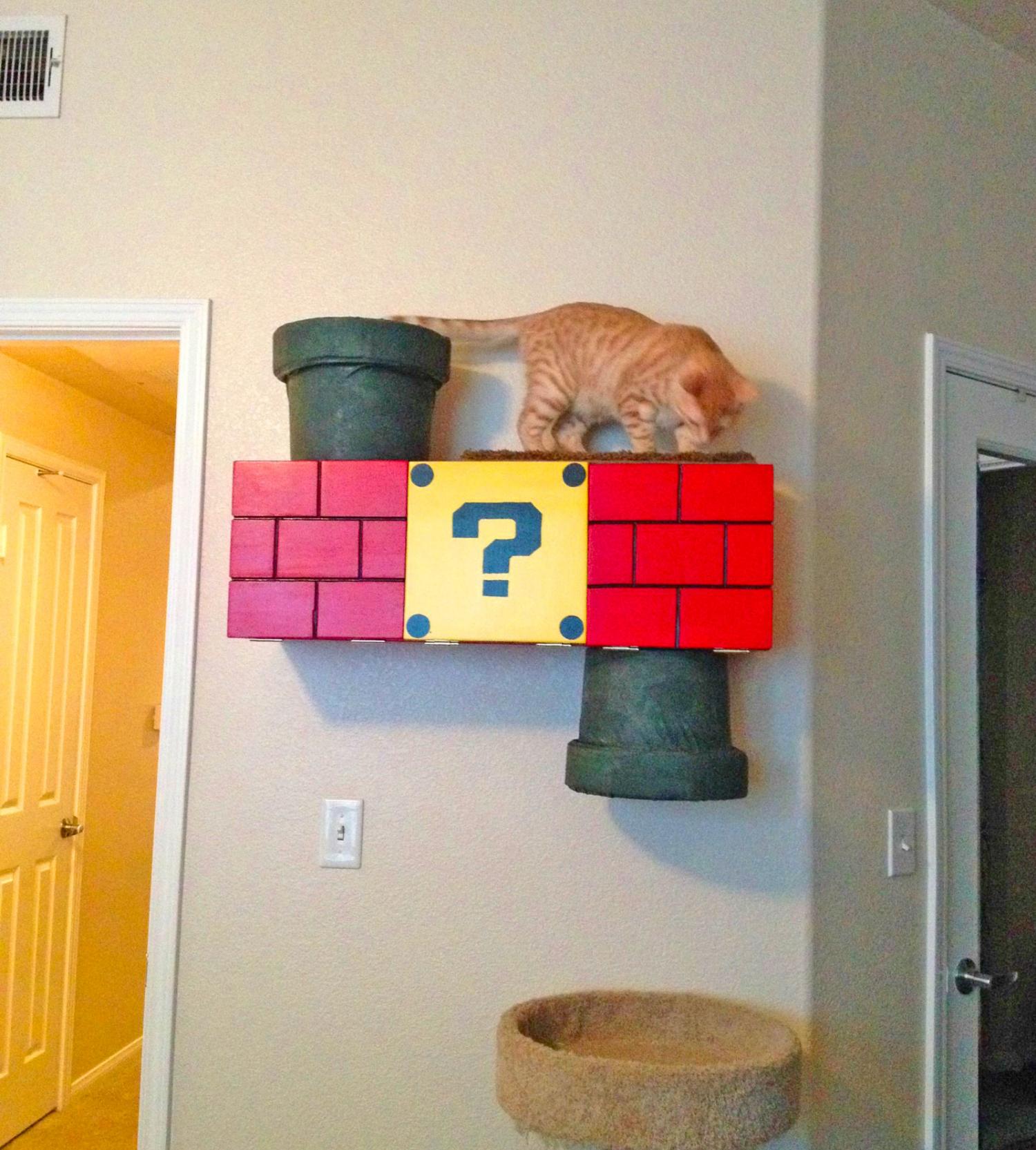 Mario Cat Playground