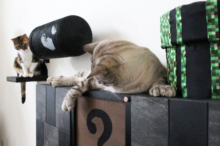 Mario Cat Playground