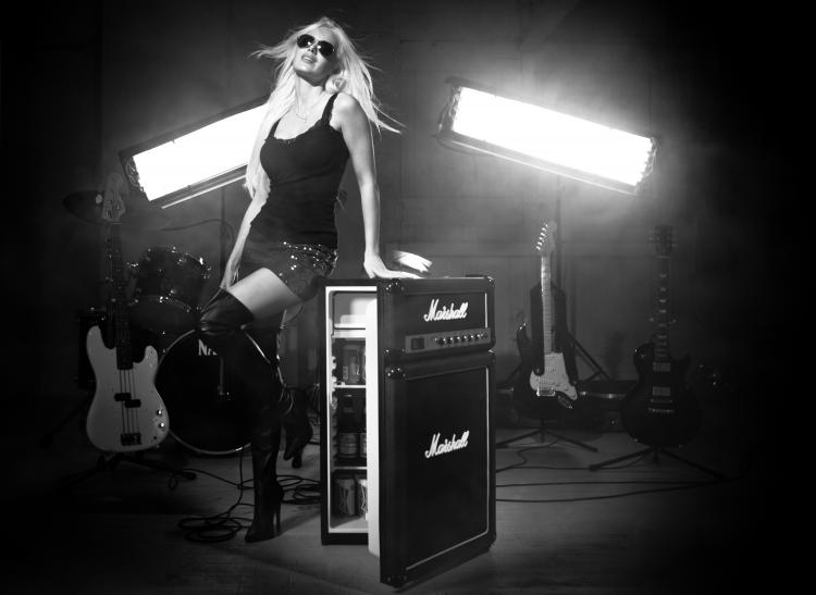 Marshall Amplifier Mini Fridge