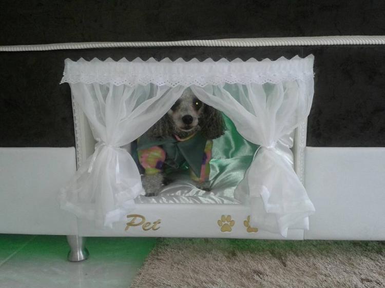 Box-Spring Mattress Dog Bed - Mattress With Dog Bed On Side