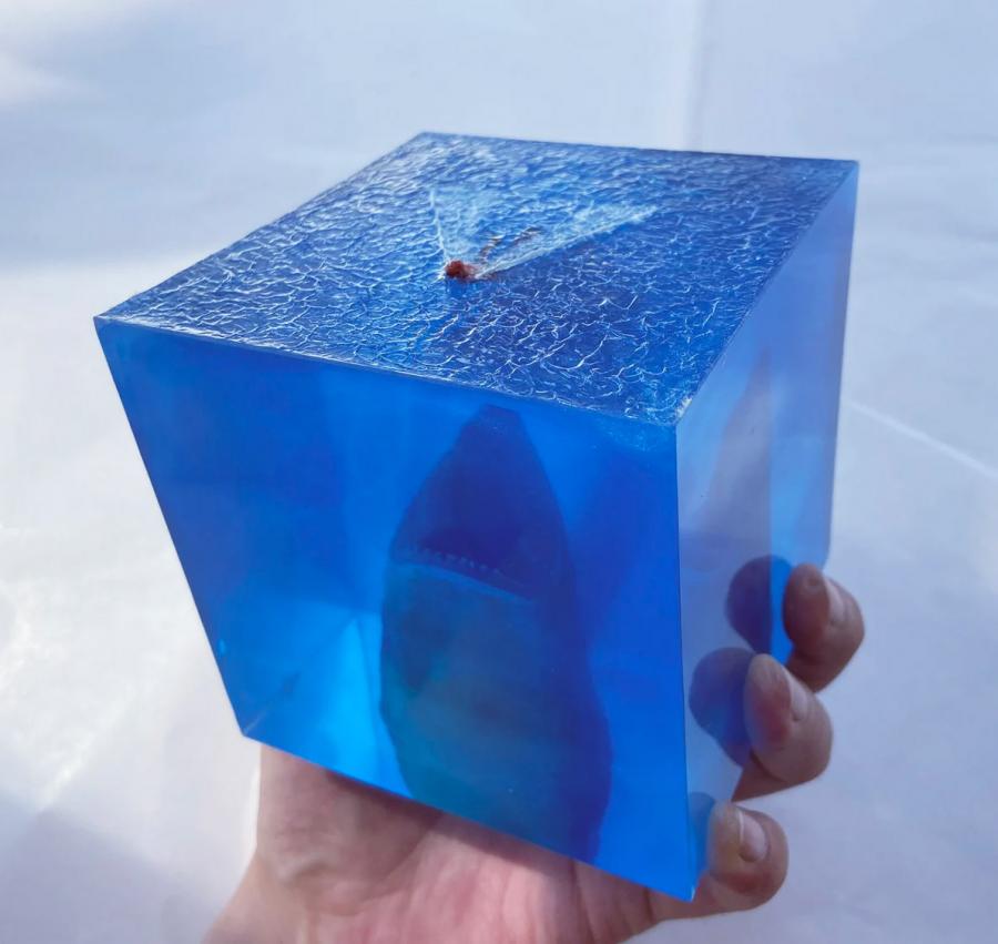 Cube Shaped Megalodon Shark Epoxy Night Light Lamp