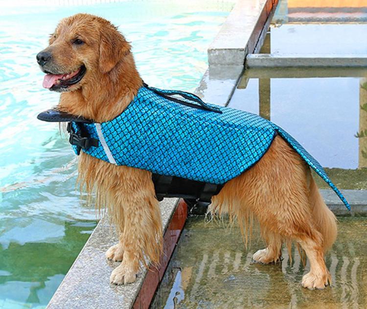 Mermaid Dog Life Jacket Turns Your Dog Into a Majestic Mermaid - Mermaid dog swimming vest