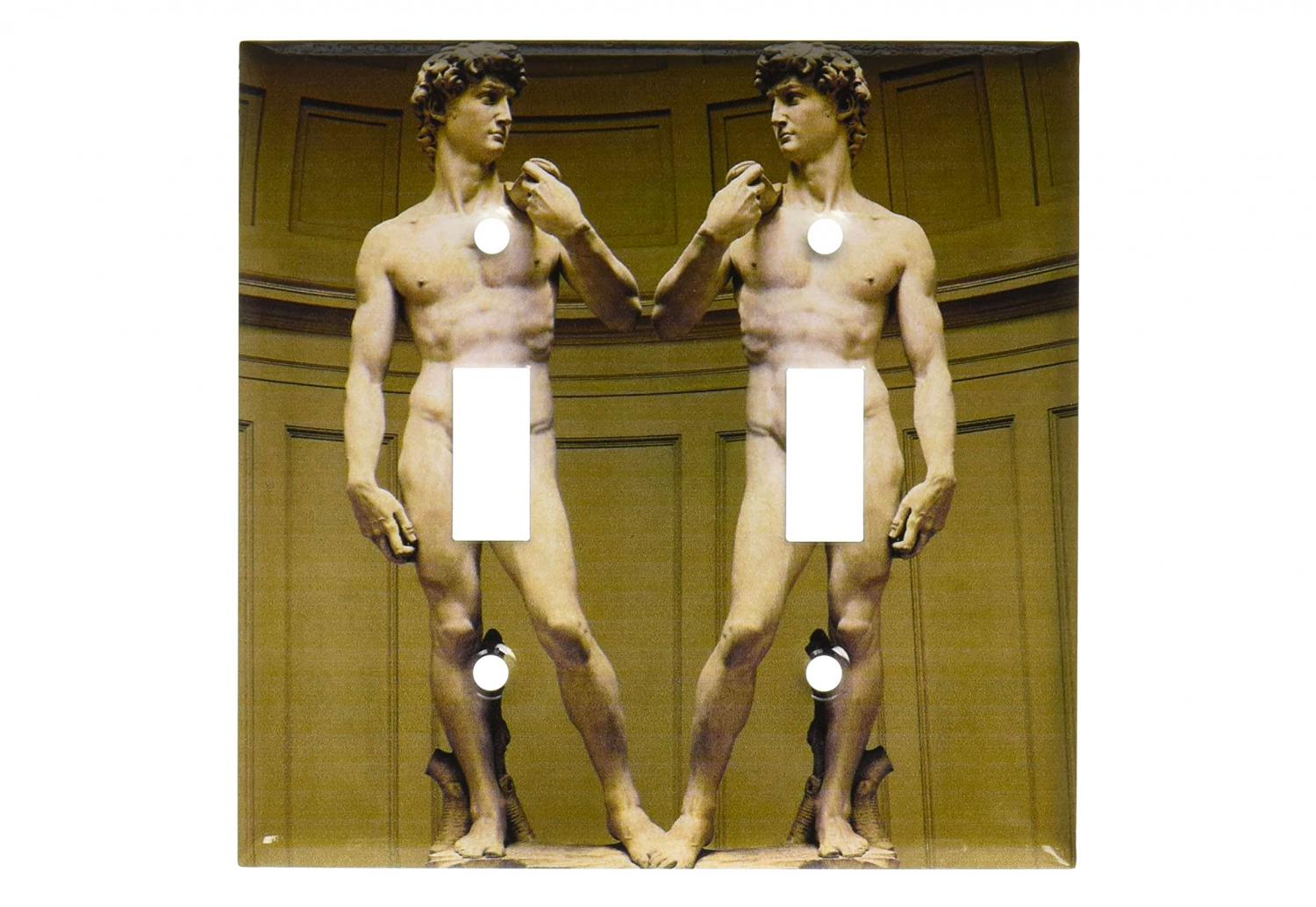 Michelangelo's David Penis Light Switch Plate