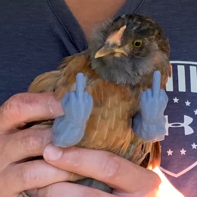 Middle Finger Chicken Arms
