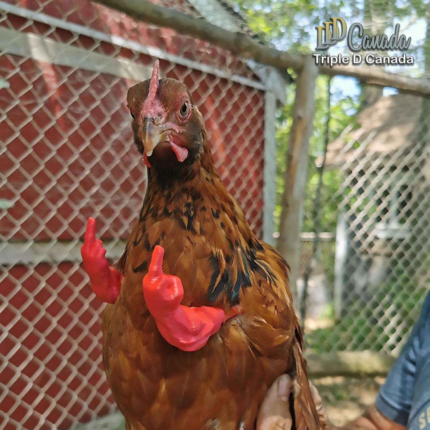Middle Finger Chicken Arms