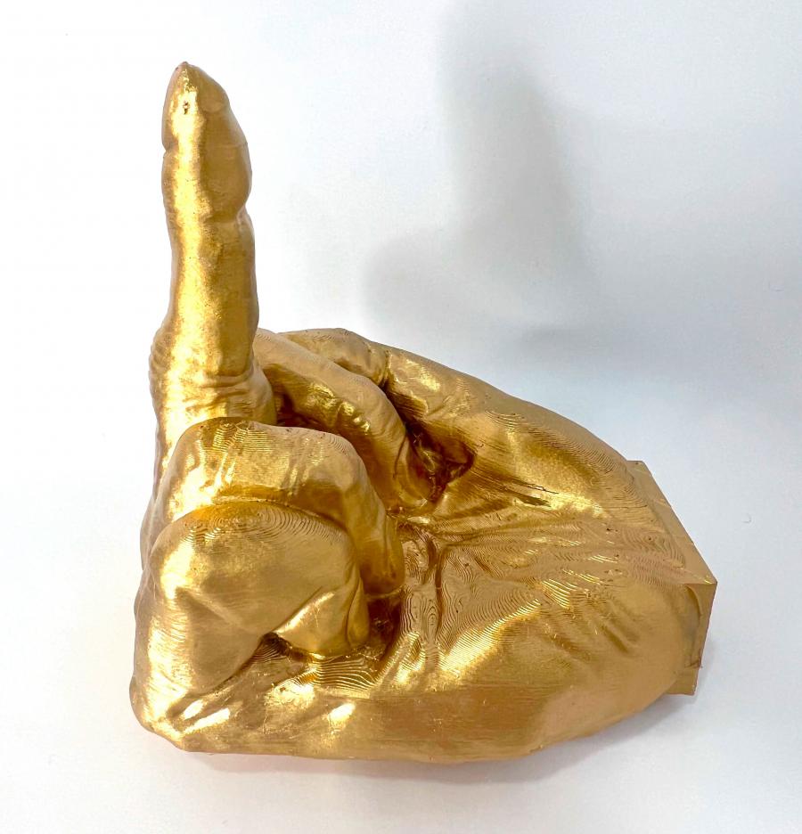 golden middle finger toilet paper