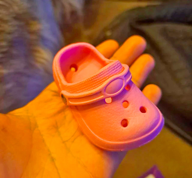 Mini Croc Shaped Croc Charms