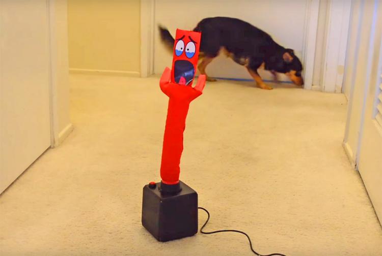Mini Wacky and Wavy Inflatable Arm-flailing Tube Man - Mini car salesman inflatable man toy