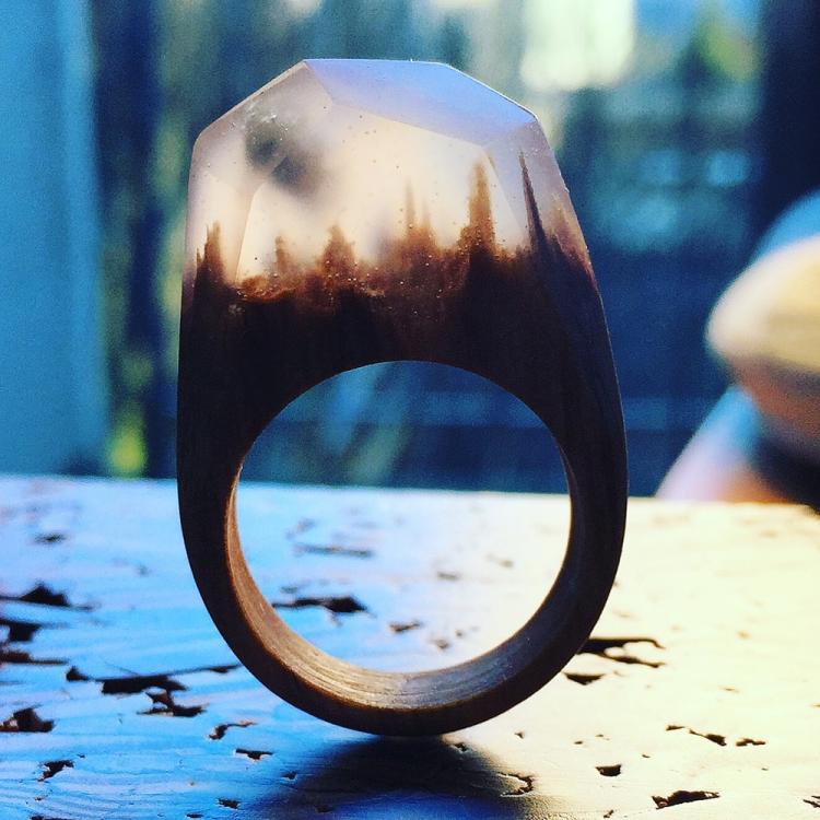 Beautiful Rings With Mini Landscapes Encapsulated In Resin