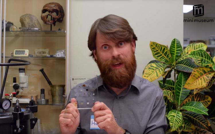 Mini Museum 2 - Portable Glass Collection Of Rare Items