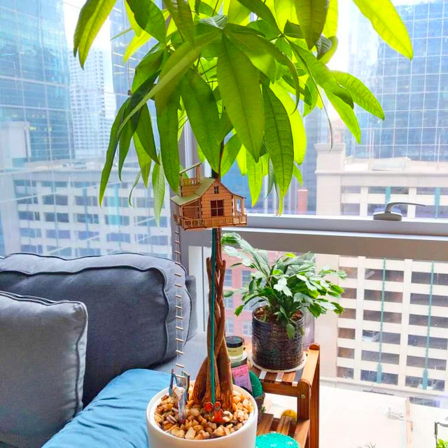 Mini Treehouses For Your House Plants