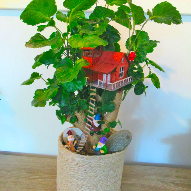 Mini Treehouses For Your House Plants