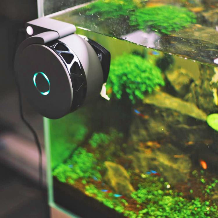 MOAI Robotic Aquarium Camera and Cleaner - Aquarium Roomba - Robotic fish tank cleaner