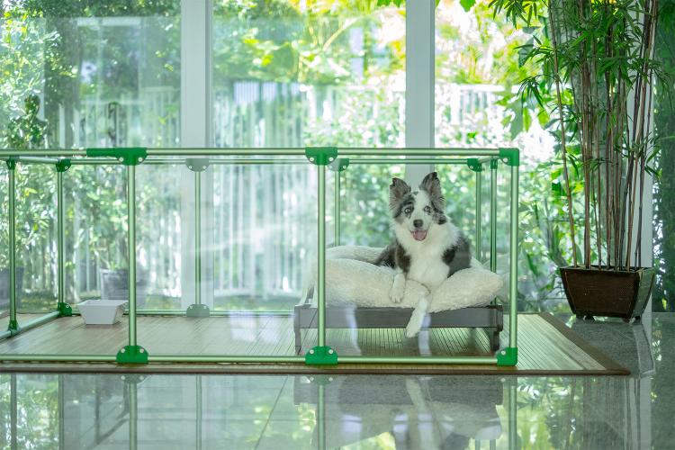 Modern Design Glass Dog Pens - Clearly Loved Pets Acrylic transparent dog kennel