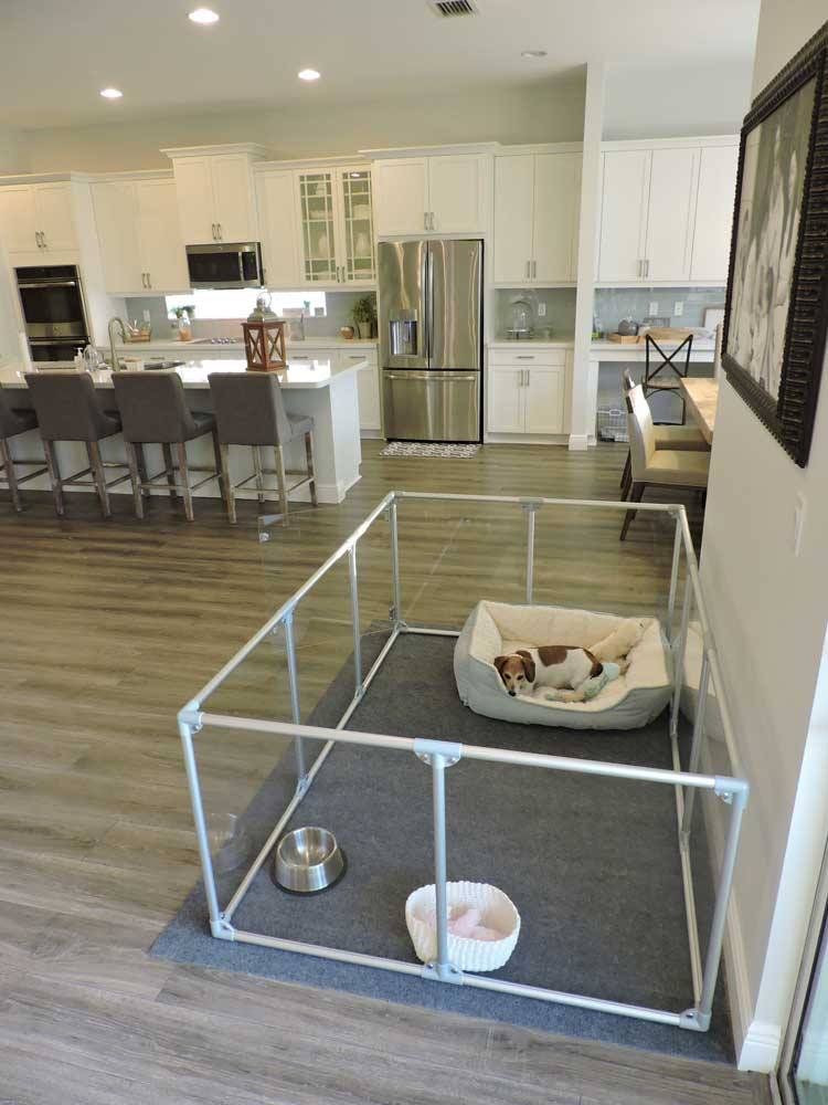 Modern Design Glass Dog Pens - Clearly Loved Pets Acrylic transparent dog kennel