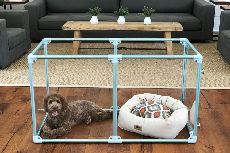 Modern Design Glass Dog Pens - Clearly Loved Pets Acrylic transparent dog kennel