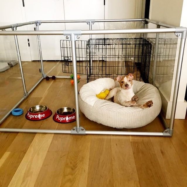 Modern Design Glass Dog Pens - Clearly Loved Pets Acrylic transparent dog kennel