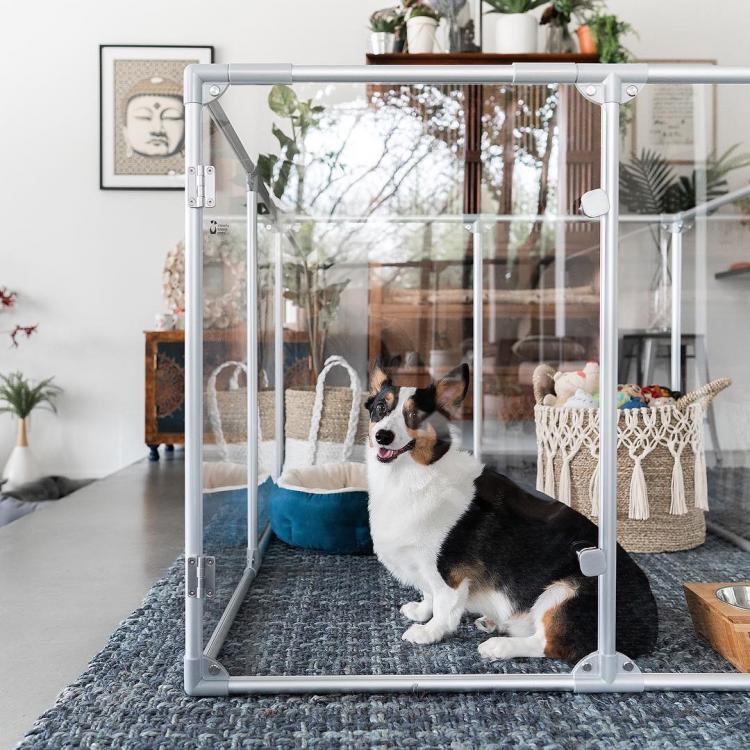 Modern Design Glass Dog Pens - Clearly Loved Pets Acrylic transparent dog kennel