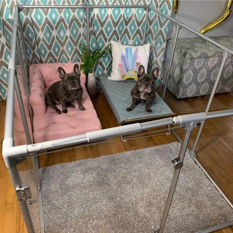 Modern Design Glass Dog Pens - Clearly Loved Pets Acrylic transparent dog kennel