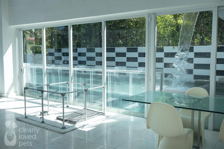 Modern Design Glass Dog Pens - Clearly Loved Pets Acrylic transparent dog kennel