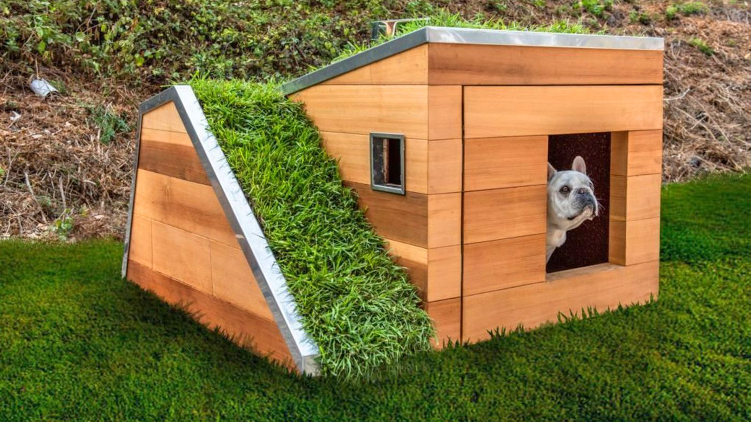 Studio Schicketanz Modern Dog House Is Made With Grass Ramp, and An Automatic Water Faucet On Top