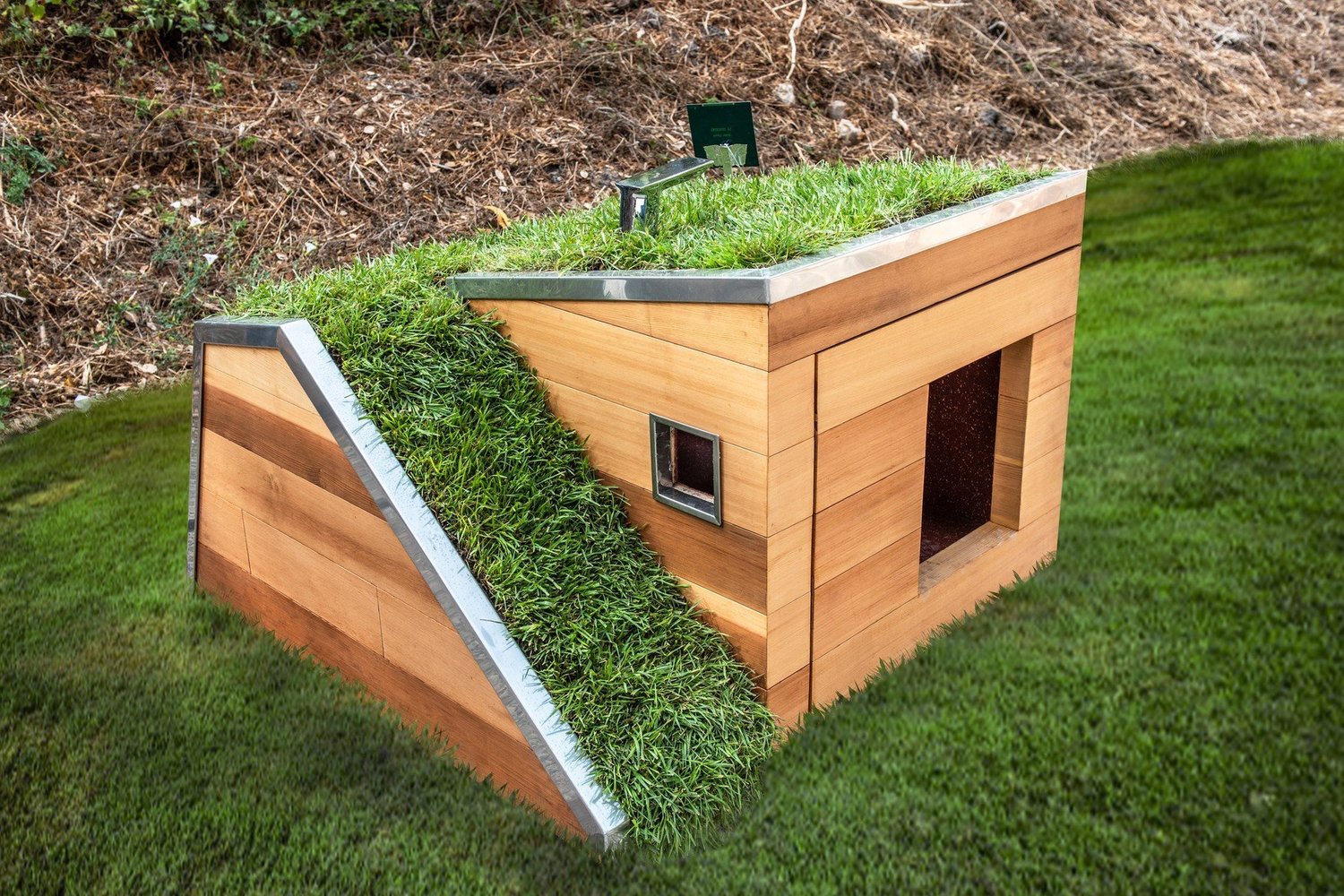 Studio Schicketanz Modern Dog House Is Made With Grass Ramp, and An Automatic Water Faucet On Top